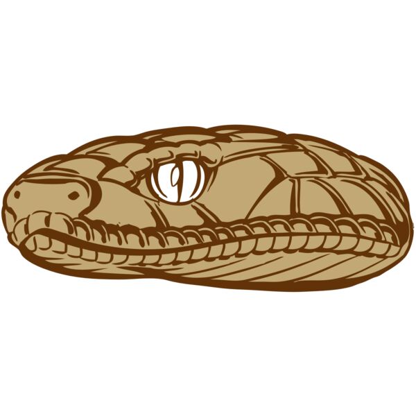 BAW SNAKE 12 RC Thumbnail